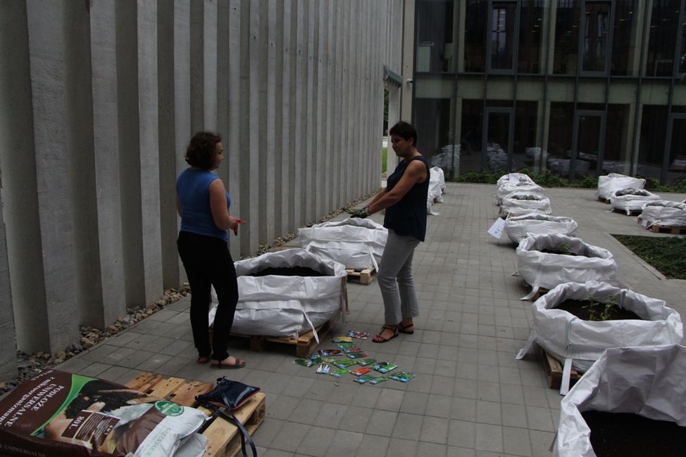 13 lipca 2016 roku Wojewódzka Biblioteka Publiczna im. Hieronima Łopacińskiego dołączyła do projektu ''Rosnę'' zakładając własny ogródek warzywny na patio Centrum Spotkania Kultur 