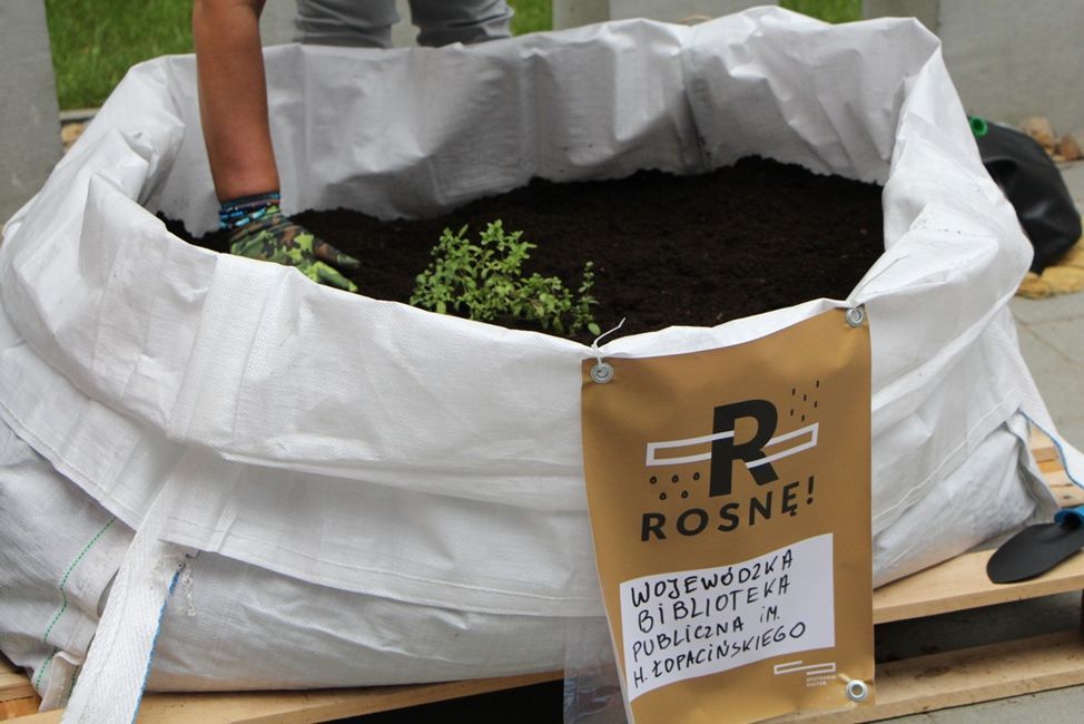 13 lipca 2016 roku Wojewódzka Biblioteka Publiczna im. Hieronima Łopacińskiego dołączyła do projektu ''Rosnę'' zakładając własny ogródek warzywny na patio Centrum Spotkania Kultur 