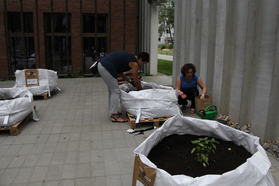 13 lipca 2016 roku Wojewódzka Biblioteka Publiczna im. Hieronima Łopacińskiego dołączyła do projektu ''Rosnę'' zakładając własny ogródek warzywny na patio Centrum Spotkania Kultur 