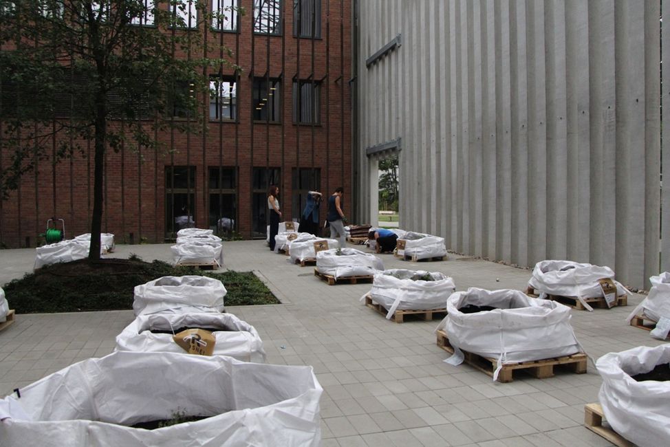 13 lipca 2016 roku Wojewódzka Biblioteka Publiczna im. Hieronima Łopacińskiego dołączyła do projektu ''Rosnę'' zakładając własny ogródek warzywny na patio Centrum Spotkania Kultur 