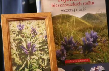 A gdyby tak rzucić wszystko i pojechać w Bieszczady… (DNC, odc 29)