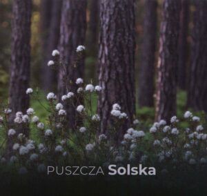 Puszcza Solska, red. Przemysław Stachyra, Paweł Szewczyk, Paweł Marczakowski, wyd. Lubelskie Towarzystwo Ornitologiczne, Lublin 2020.