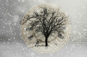 samotne drzewo w śniegu