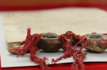 Wystawa rękopisów w WBP