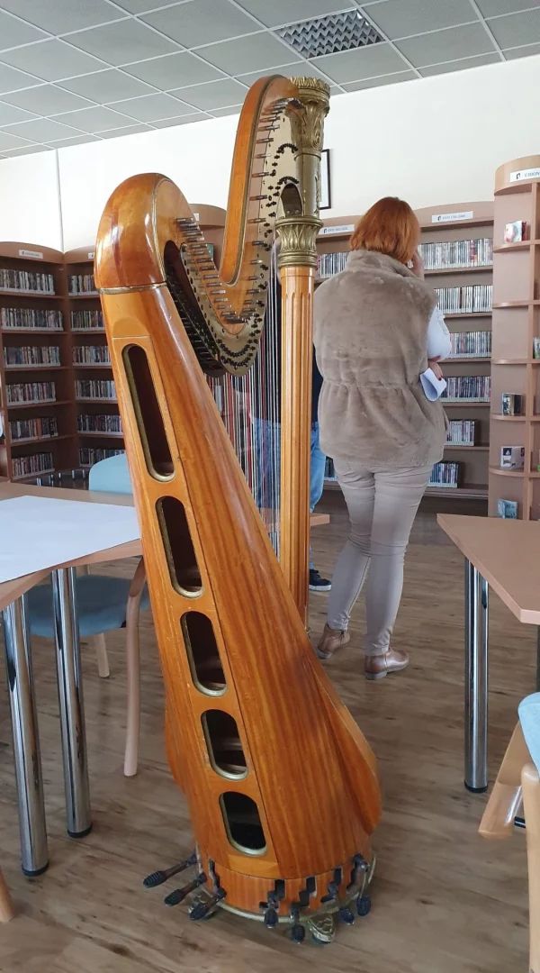 Powiatowa i Miejska Biblioteka im. Ferenca Rakoczego II