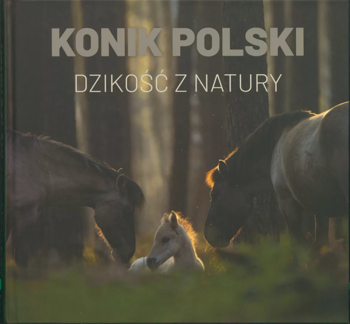 Paweł Marczakowski, Konik polski. Dzikość z natury, wyd. Roztoczański Park Narodowy, Zwierzyniec 2022.
