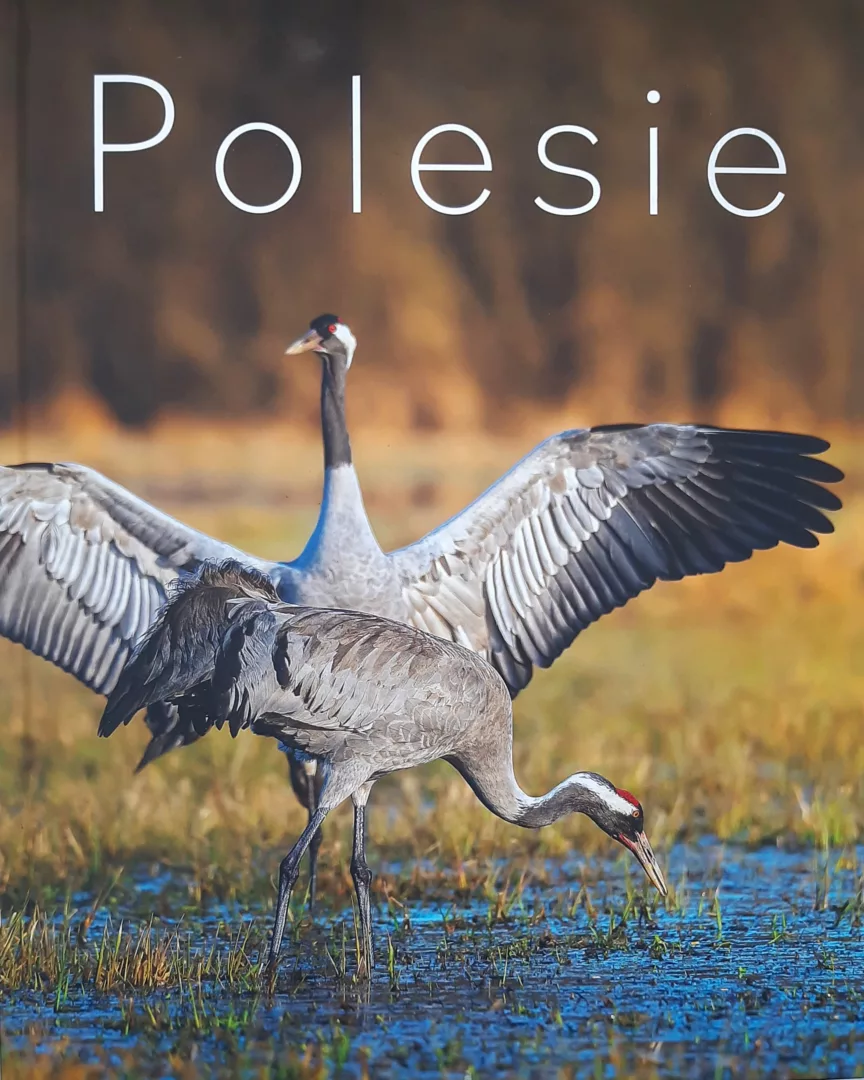 Polesie, red. R. Siek, fot. R. Siek, S. Wróbel, K. Wojciechowski, Wydawnictwo Lipiec, 2023