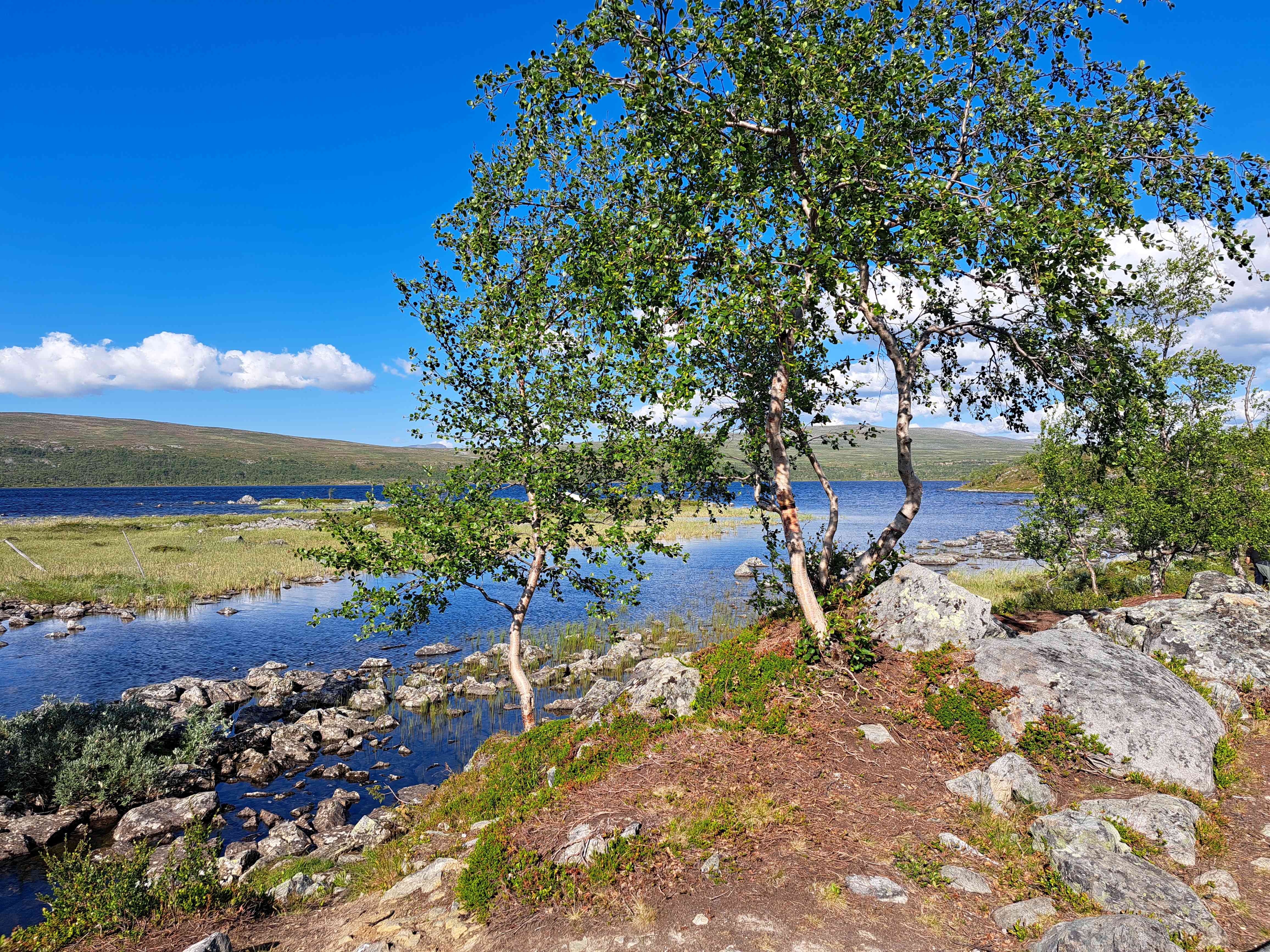 Prezentacja Agnieszki Kępskiej „Północny balans: Jak natura i sauna ukształtowały fiński świat. Wirtualna podróż w głąb Finlandii”